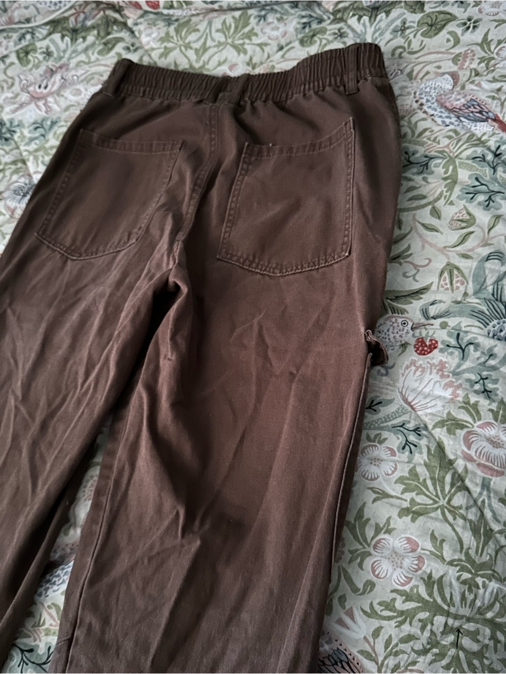 Ambiance Chocolate Brown Casual Pants with Elastic Waist